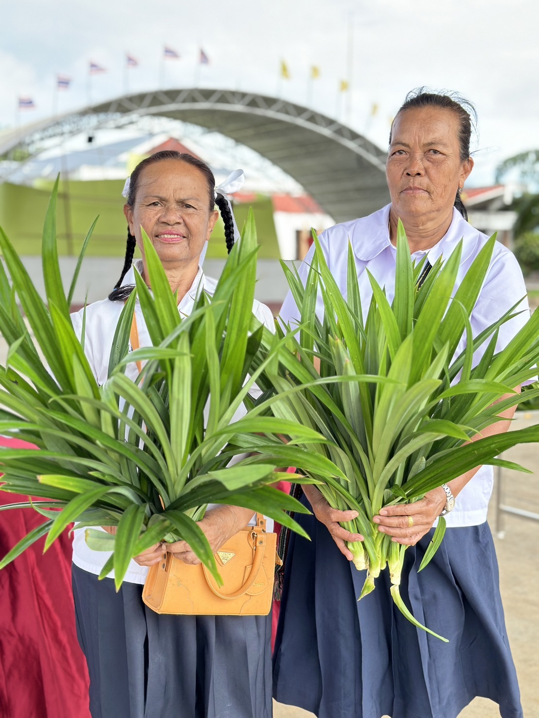 โครงการพัฒนาคุณภาพชีวิตผู้สูงอายุ ประจำปี 2567 