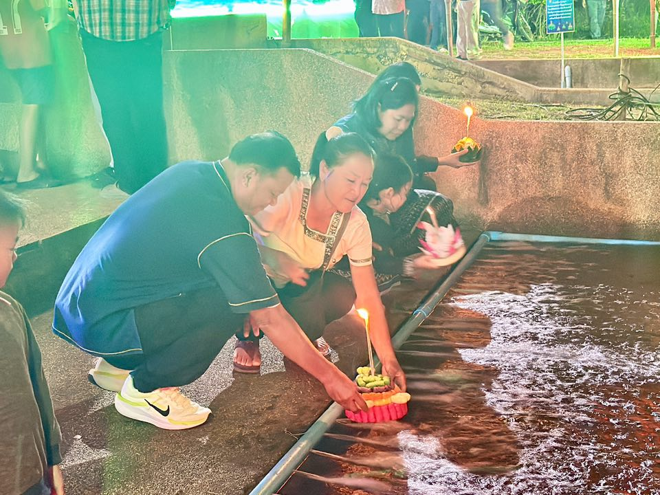 นที่ 5 พฤศจิกายน 2568 เวลา 18.00 น. เทศบาลตำบลไทรโยง-ไชยวาล นำโดยนายสุรัน จันทร์สง่า นายกเทศมนตรีตำบลไทรโยง-ไชยวาล พร้อมด้วยคณะผู้บริหาร สมาชิกสภาเทศบาล ปลัดเทศบาล หัวหน้าส่วนราชการ พนักงานเจ้าหน้าที่เทศบาล ผู้ใหญ่บ้าน ประธานชุมชน คณะกรรมการชุมชน แขกผู้มีเกียรติ และพี่น้องประชาชน ร่วมกันยืนสงบนิ่ง เพื่อถวายความอาลัย แด่สมเด็จพระนางเจ้าสิริกิติ์ พระบรมราชชนนีพันปีหลวง จากนั้นได้ร่วมกันดำเนินกิจกรรมการลอยกระทง ประจำปี 2568