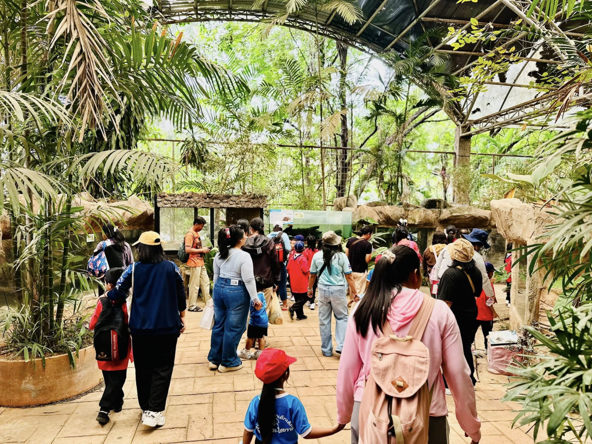 นายสุรัน จันทร์สง่า นายกเทศมนตรีตำบลไทรโยง-ไชยวาล พร้อมด้วยสมาชิกสภาเทศบาลฯ ปลัดเทศบาลฯ รองปลัดเทศบาลฯ เจ้าหน้าที่กองการศึกษา คณะคุณครู พนักงานเทศบาล ผู้ปกครอง และเด็กนักเรียนของศูนย์พัฒนาเด็กเล็กเทศบาลตำบลไทรโยง-ไชยวาล ได้เข้าร่วมโครงการศึกษาแหล่งเรียนรู้ ประจำปีงบประมาณ 2569 ณ สวนสัตว์นครราชสีมา