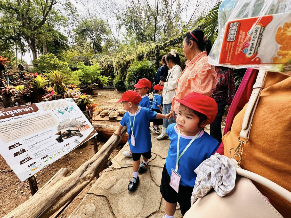 นายสุรัน จันทร์สง่า นายกเทศมนตรีตำบลไทรโยง-ไชยวาล พร้อมด้วยสมาชิกสภาเทศบาลฯ ปลัดเทศบาลฯ รองปลัดเทศบาลฯ เจ้าหน้าที่กองการศึกษา คณะคุณครู พนักงานเทศบาล ผู้ปกครอง และเด็กนักเรียนของศูนย์พัฒนาเด็กเล็กเทศบาลตำบลไทรโยง-ไชยวาล ได้เข้าร่วมโครงการศึกษาแหล่งเรียนรู้ ประจำปีงบประมาณ 2569 ณ สวนสัตว์นครราชสีมา