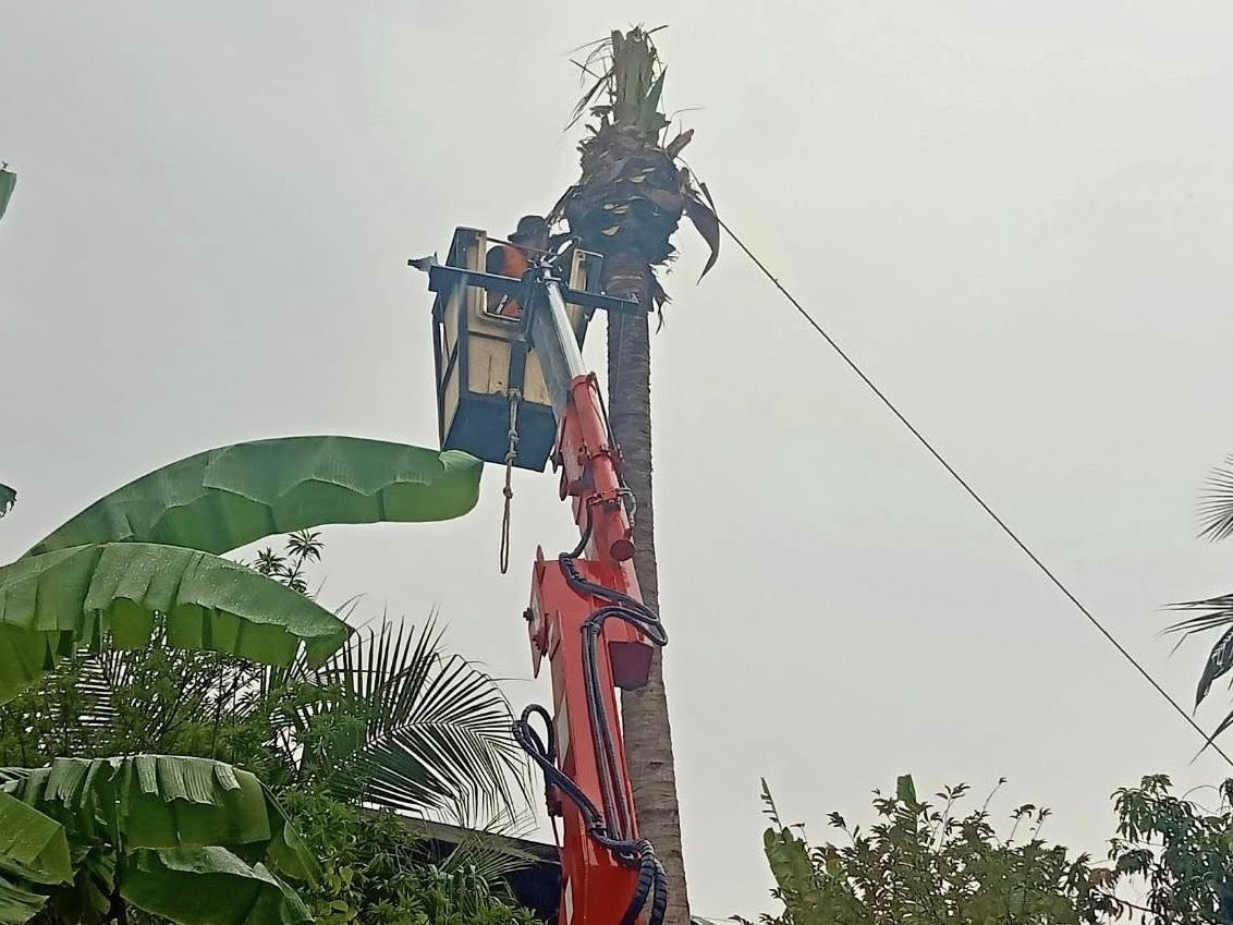 เทศบาลตำบลไทรโยง-ไชยวาล ภายใต้การนำของนายสุรัน จันทร์สง่า นายกเทศมนตรีตำบลไทรโยง-ไชยวาล มอบหมายให้เจ้าหน้าที่กองช่าง เจ้าหน้าที่กองสาธารณสุขฯ และเจ้าหน้าที่งานป้องกันฯ เพื่อดำเนินงานตามภารกิจที่เกี่ยวข้อง พร้อมทั้งดำเนินงานตามคำร้องขอความช่วยเหลือของพ่อ แม่ พี่น้อง ประชาชนในเขตพื้นที่เทศบาลฯ