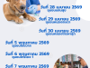 เทศบาลตำบลไทรโยง -ไชยวาล จะดำเนินการออกให้บริการฉีดวัคซีนป้องกันโรคพิษสุนัขบ้า ของชุมชนดอนแสนสุข ในกิจกรรมโครงการสัตว์ปลอดโรค คนปลอดภัย จากพิษสุนัขบ้า ประจำปี 2569