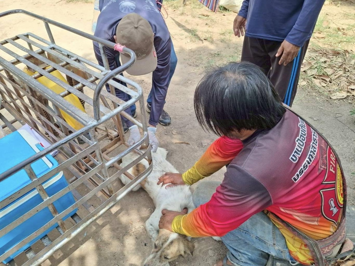27-30 เมษายน และ 5 พฤษภาคม 2569 กองสาธารณสุขและสิ่งแวดล้อม เทศบาลตำบลไทรโยง -ไชยวาล ได้ดำเนินการออกให้บริการฉีดวัคซีนป้องกันโรคพิษสุนัขบ้า