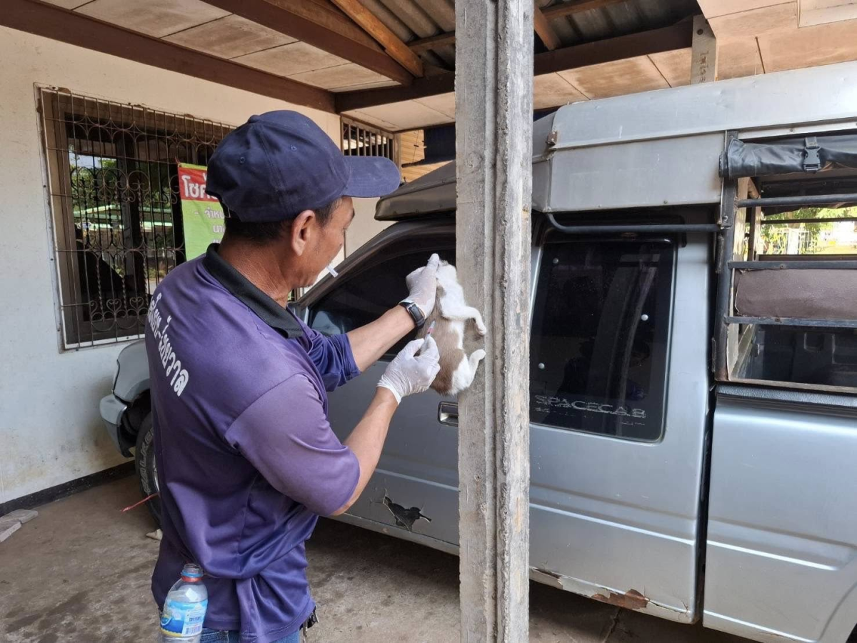27-30 เมษายน และ 5 พฤษภาคม 2569 กองสาธารณสุขและสิ่งแวดล้อม เทศบาลตำบลไทรโยง -ไชยวาล ได้ดำเนินการออกให้บริการฉีดวัคซีนป้องกันโรคพิษสุนัขบ้า