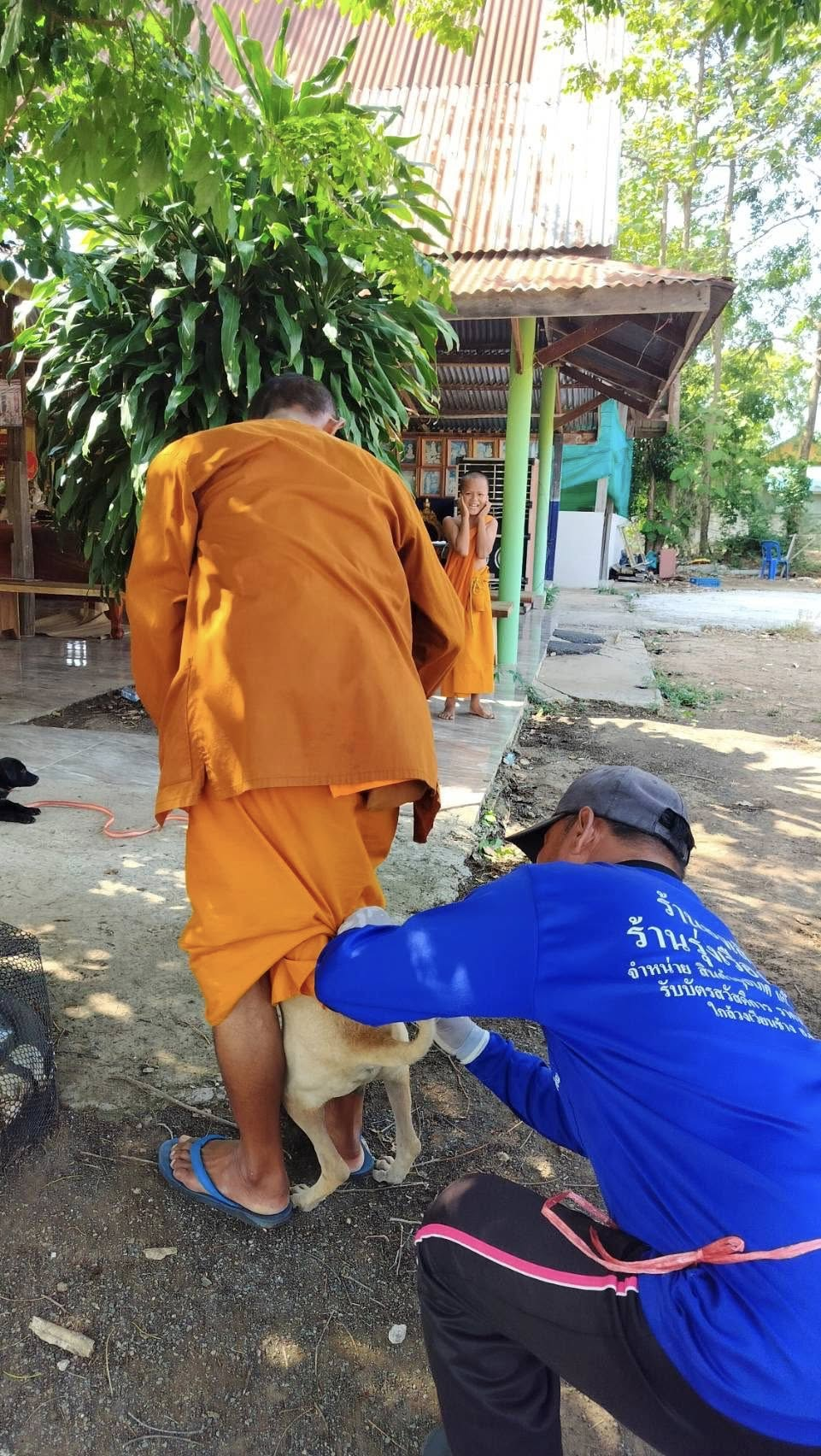 27-30 เมษายน และ 5 พฤษภาคม 2569 กองสาธารณสุขและสิ่งแวดล้อม เทศบาลตำบลไทรโยง -ไชยวาล ได้ดำเนินการออกให้บริการฉีดวัคซีนป้องกันโรคพิษสุนัขบ้า