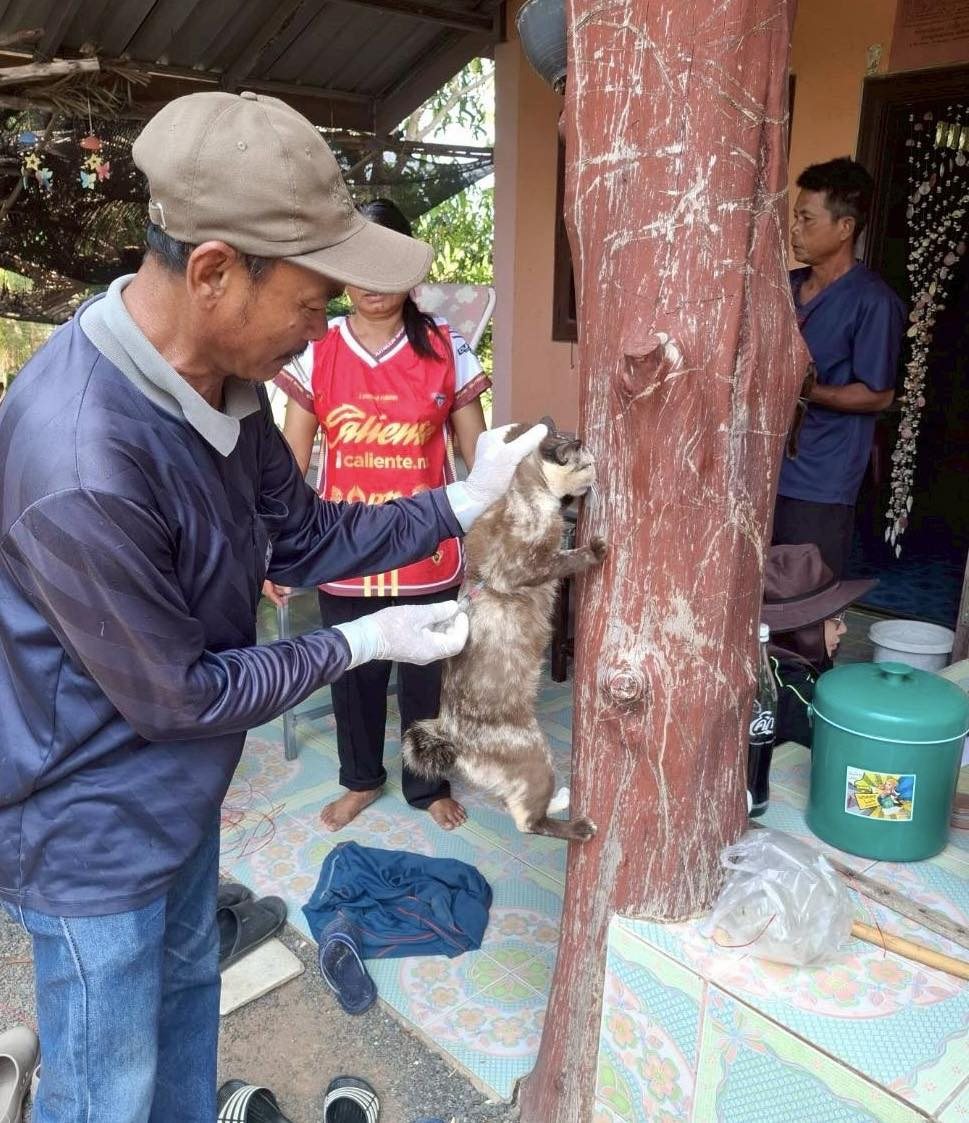 27-30 เมษายน และ 5 พฤษภาคม 2569 กองสาธารณสุขและสิ่งแวดล้อม เทศบาลตำบลไทรโยง -ไชยวาล ได้ดำเนินการออกให้บริการฉีดวัคซีนป้องกันโรคพิษสุนัขบ้า